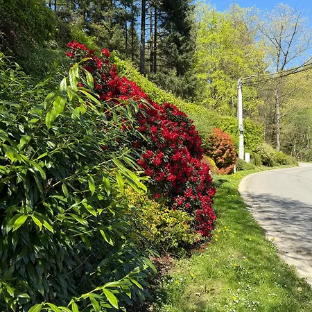 Aux 3 Canards * Stoumont