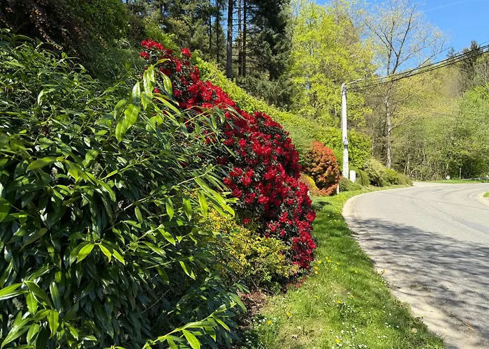 Aux 3 Canards * Stoumont